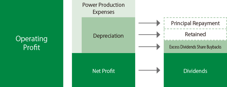 Excess Dividend Distribution and Share Buybacks